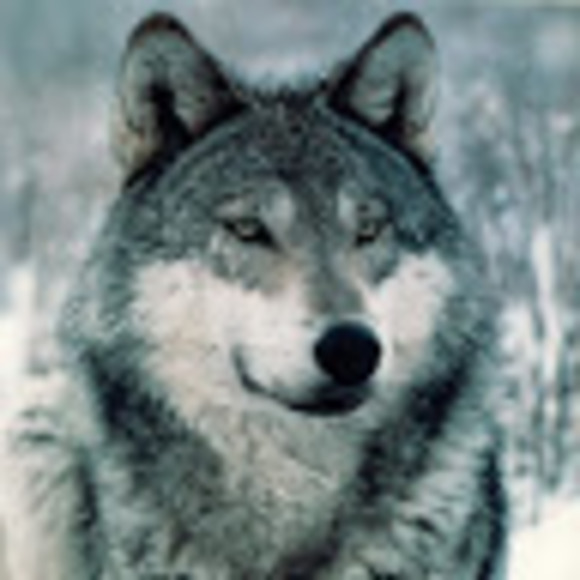 Meet your Posher, Paige - Picture 1 of 1